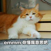 女生发emmm什么意思