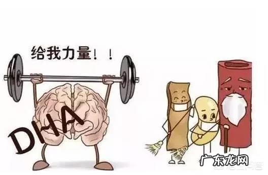 怀孕吃DHA真的对宝宝大脑有好处吗?