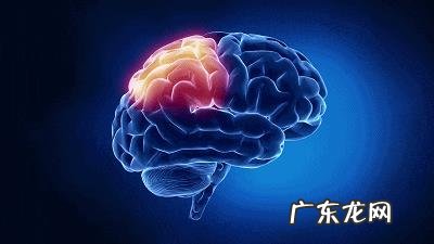 怀孕吃DHA真的对宝宝大脑有好处吗?