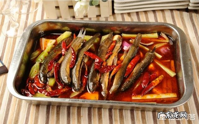 泥鳅和黄鳝哪个更有营养?