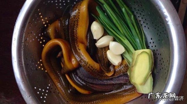 泥鳅和黄鳝哪个更有营养？