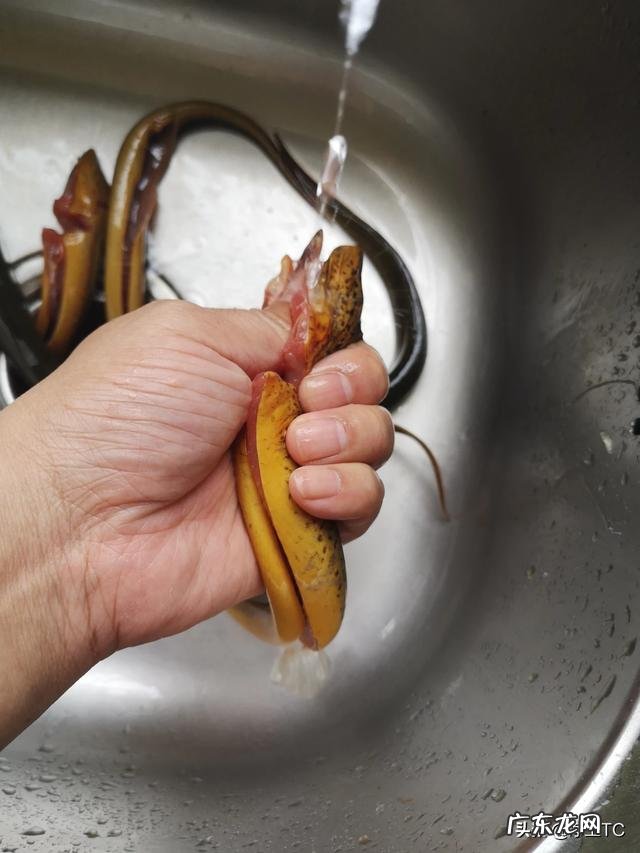 泥鳅和黄鳝哪个更有营养？