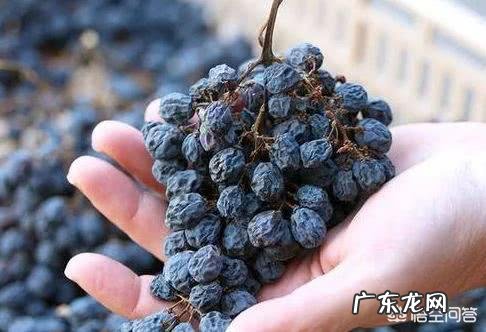 断奶后胸部下垂怎么办?