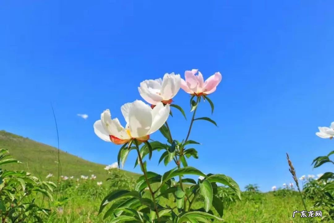 六月是什么季节