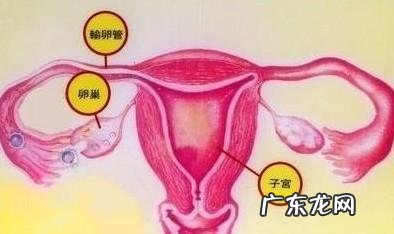 卵巢肿瘤的早期症状有哪些?