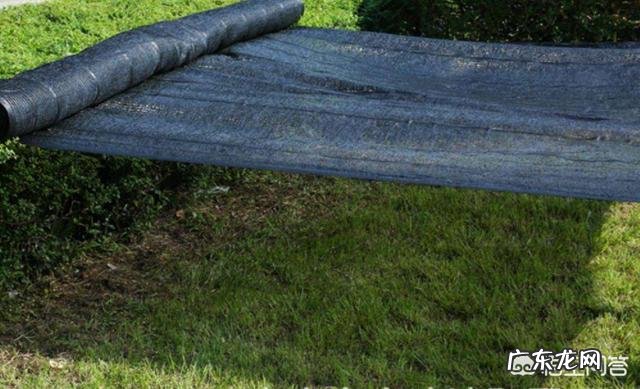 夏季如何给花卉植物防暑降温?