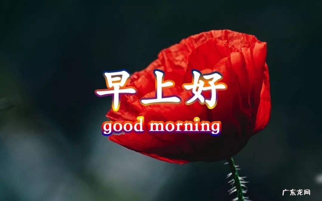 朋友圈早上好经典句子