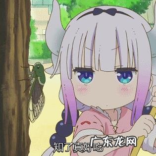 有哪些堪称“阿伟乱葬岗”的动画?