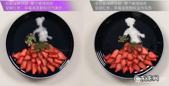 夏季养生食补祛湿,胖人瘦人养生方法能一样吗?