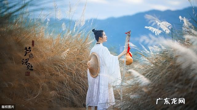 驾驶证到期了,但是没有买车,怎么换证,需要什么资料?