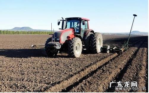 东北暴雪会带来什么不良影响?粮食会涨价吗?