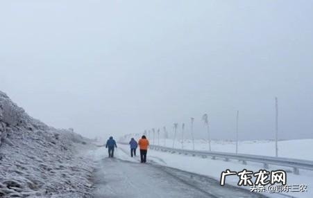 东北暴雪会带来什么不良影响?粮食会涨价吗?