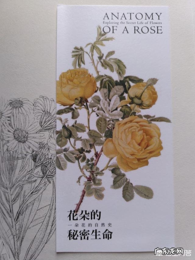 在过去的一年时间里，你读过纸质书吗？