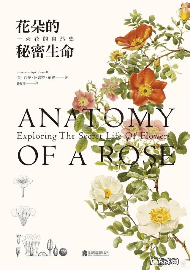 在过去的一年时间里，你读过纸质书吗？