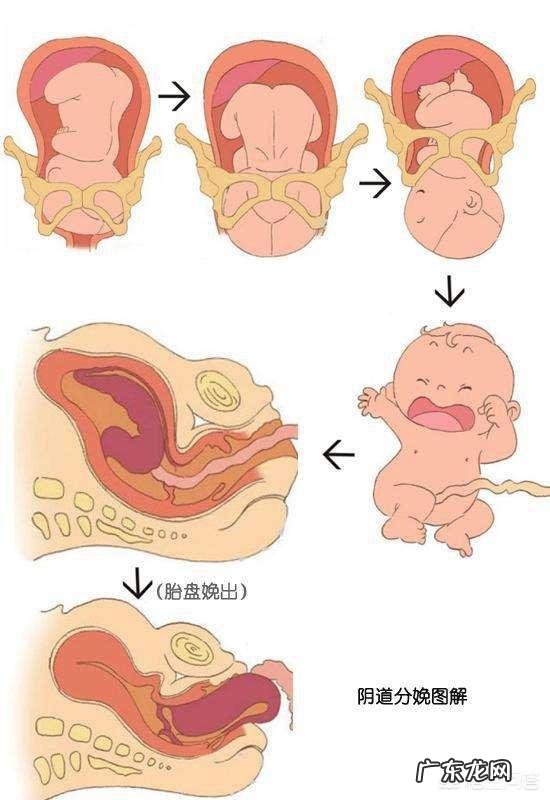 自然分娩的三个产程,宝妈都了解吗?