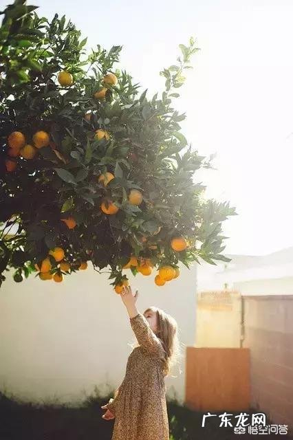 在一个天天吵架的家庭是什么感觉?有感同身受的吗?真的绝望?