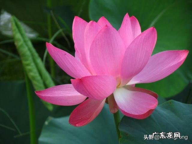 在一个天天吵架的家庭是什么感觉?有感同身受的吗?真的绝望?