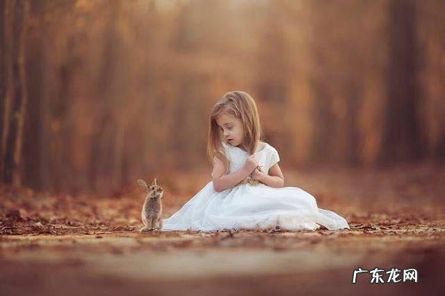 说孩子“不听话”的父母,99%不懂得怎么和孩子说话,你怎么看?