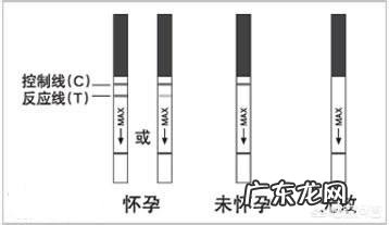 月经推迟了10天了!查过血!验过尿!没有怀孕!怎么回事啊!我才27岁不可能停经吧?