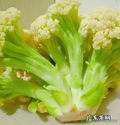 花菜和菜花两种蔬菜如何辨别,吃法有何不同?