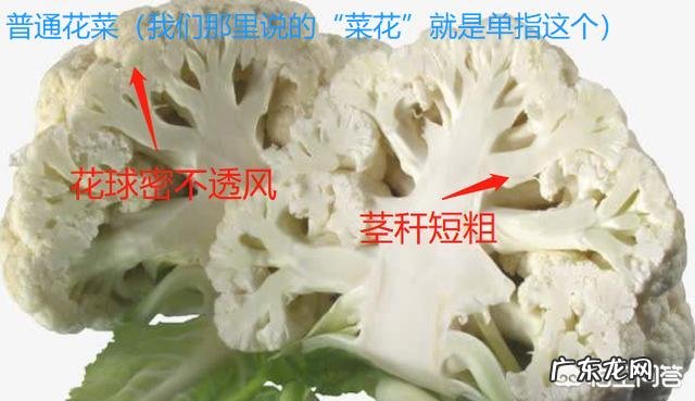 花菜和菜花两种蔬菜如何辨别,吃法有何不同?
