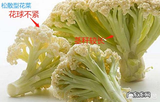 花菜和菜花两种蔬菜如何辨别,吃法有何不同?