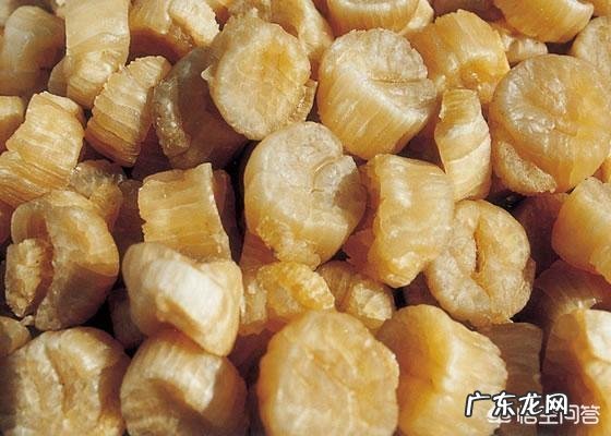 如何用瑶柱熬粥?