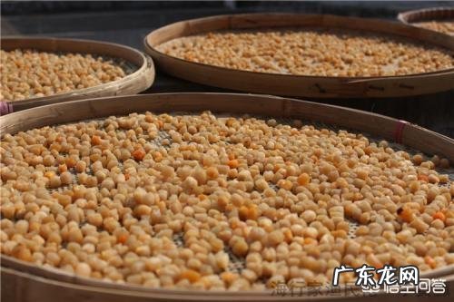 如何用瑶柱熬粥?