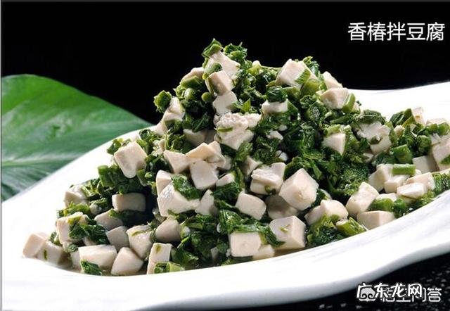 香椿的药用价值你真的知道吗?