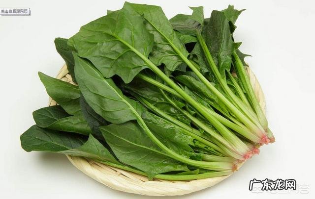 什么食物可以降血压?