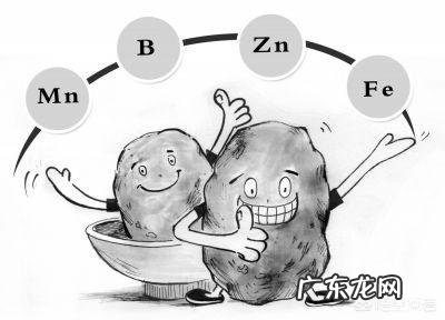 微量元素肥作用是什么?农资店说农民种庄稼长不好不高产,是缺失这种肥料?有道理没?