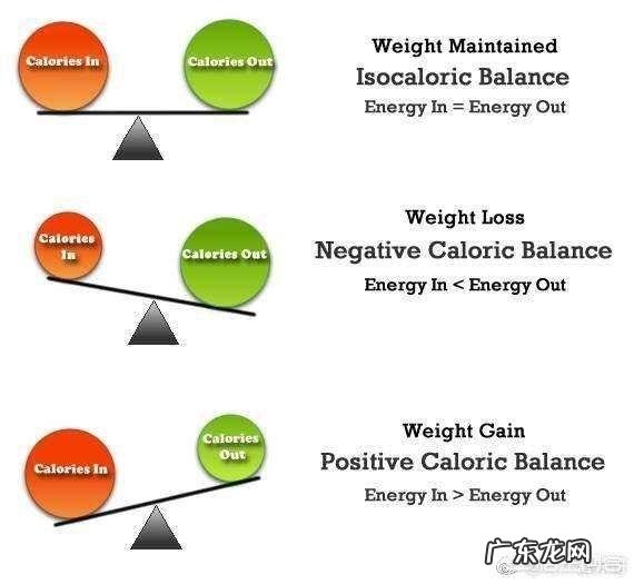 减肥需要什么样的饮食安排?怎么做健身计划?