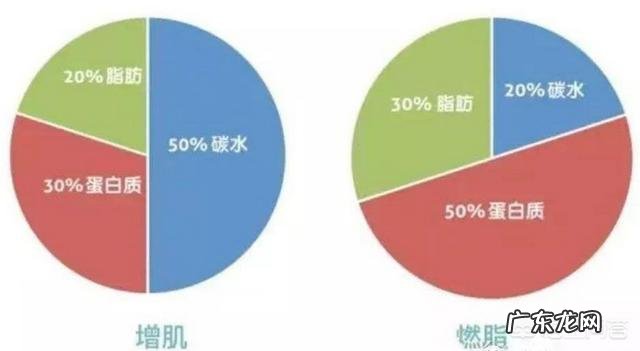 减肥需要什么样的饮食安排?怎么做健身计划?