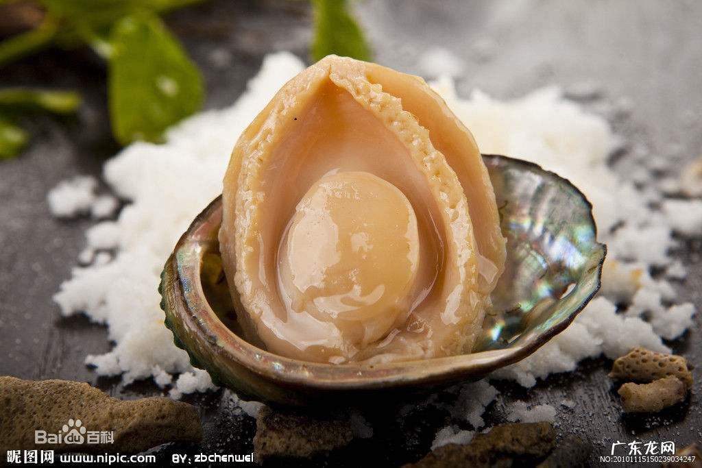 鲍鱼有点腥味怎么处理