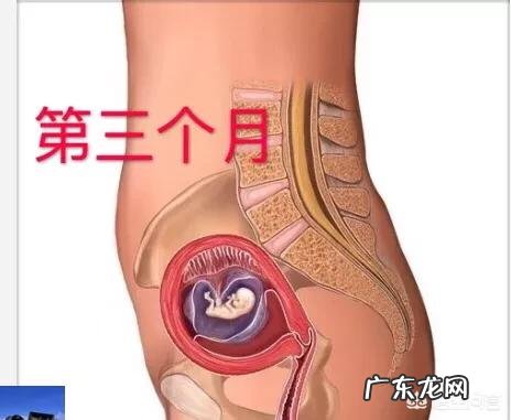 现在的宝妈在孕期做了哪些检查？