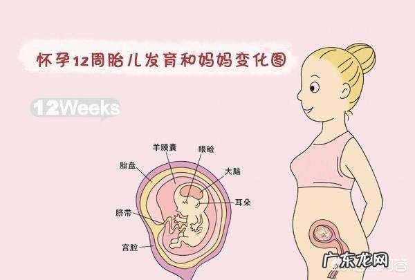 现在的宝妈在孕期做了哪些检查?