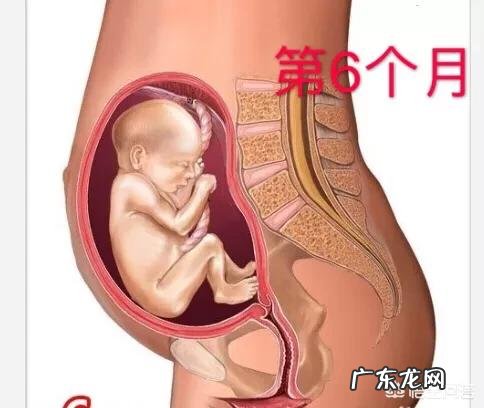 现在的宝妈在孕期做了哪些检查？