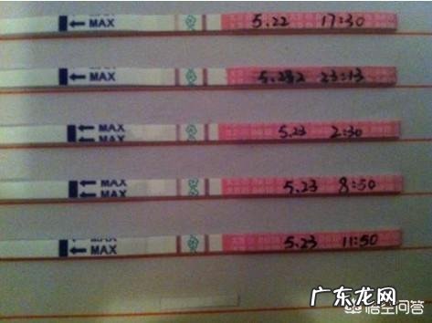 排卵一般发生在何时?