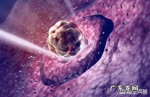 排卵一般发生在何时？