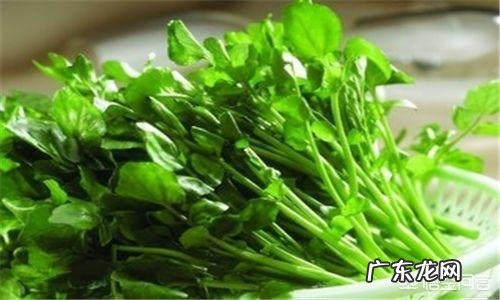 孕期吃什么既补充了营养又不长胖?