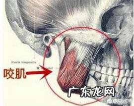 脸方打瘦脸针有效吗?