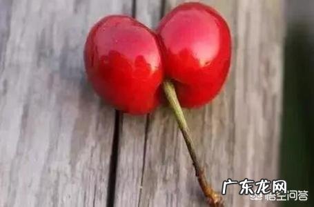 大樱桃双胞胎昰如何形成的?