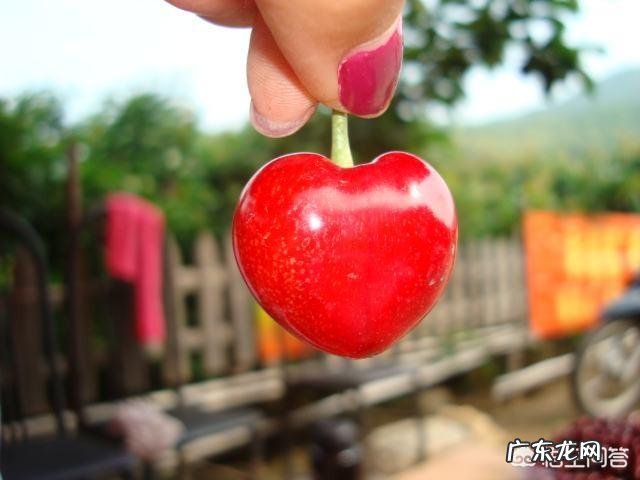 大樱桃双胞胎昰如何形成的?