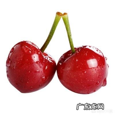 大樱桃双胞胎昰如何形成的?