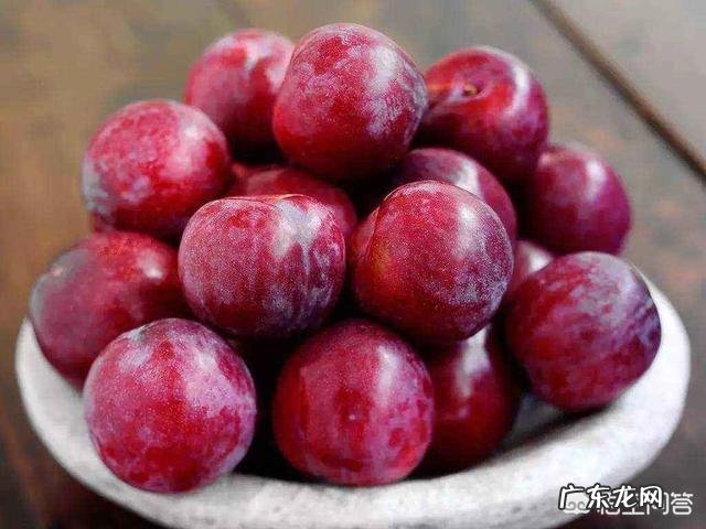 孕期吃了二十多个李子会怎样?