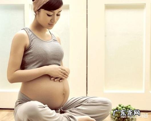 宠物身上的弓形虫从何而来？孕期必须离开心爱的宠物吗？