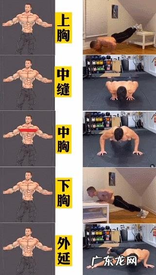 如何锻炼胸大肌？