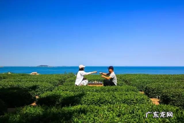 青岛有哪些好玩的地方?