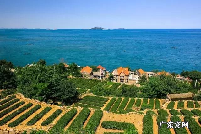 青岛有哪些好玩的地方?