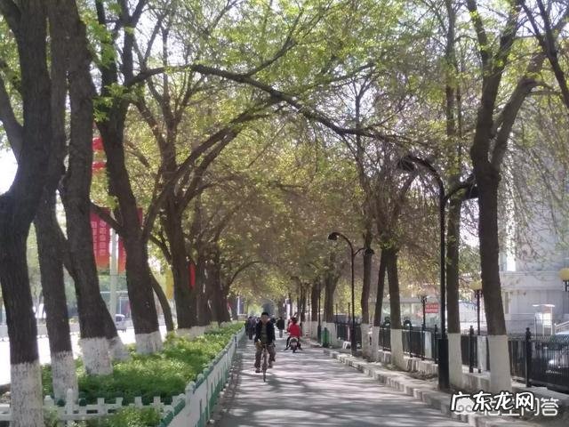 新疆学生容易考上石河子大学吗?